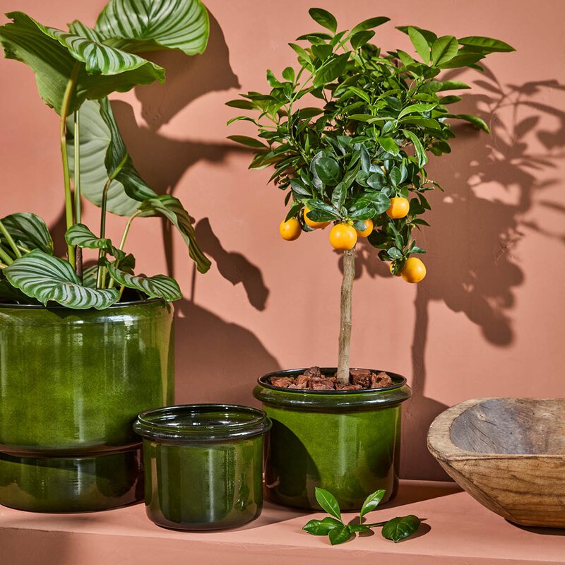 House Doctor Hoop blomsterpotte 2 stk grønn