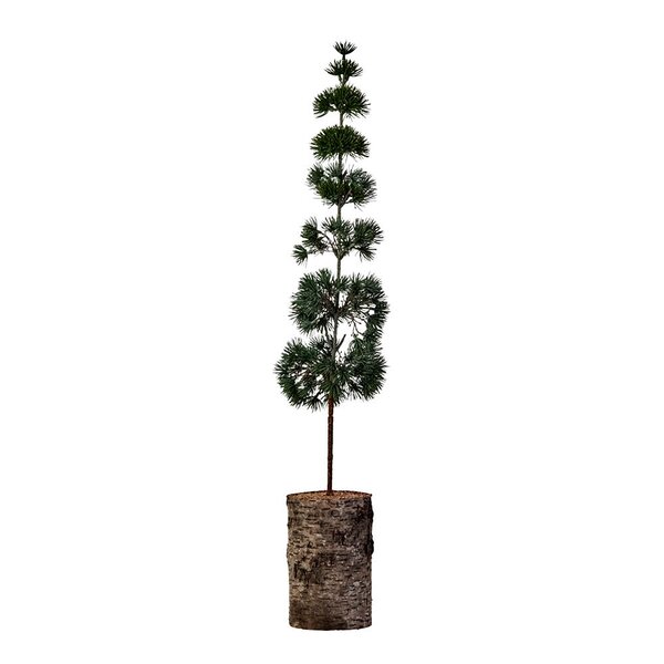 House Doctor Pine juletre 15 cm grønn