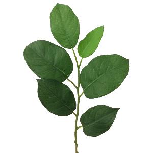 Mr Plant Blad 55 cm grønn