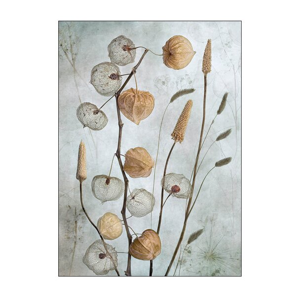 Poster & Frame – Mandy Disher poster 30×40 cm lanterns