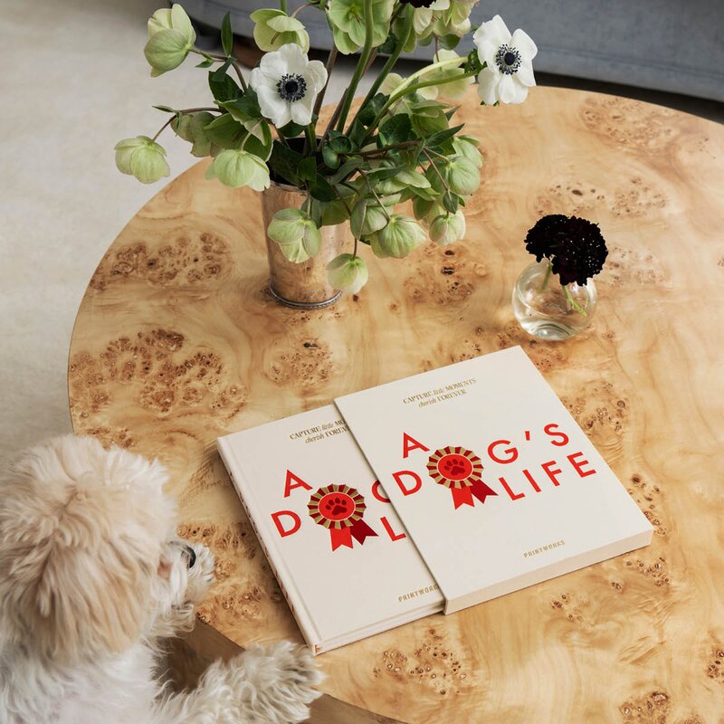 Printworks A Dog’s Life hundejournal