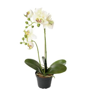 Mr Plant Phalaenopsis kunstig plante 45 cm