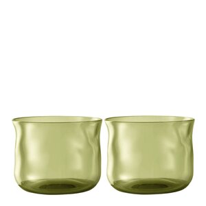 Paveau Swirl tumbler glass small 24 cl 2 stk Moss