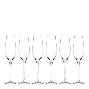 Holmegaard Cabernet champagneglass 29 cl 6 stk