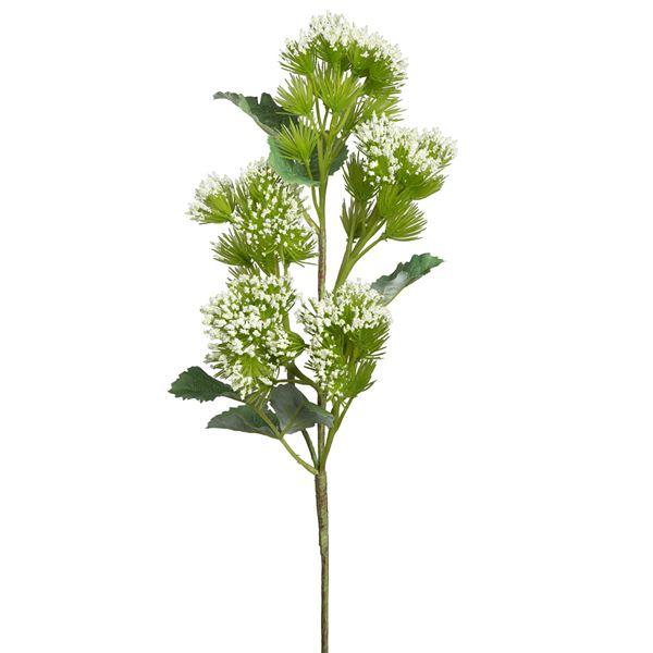 Mr Plant Silkeblomst tistel 50 cm hvit