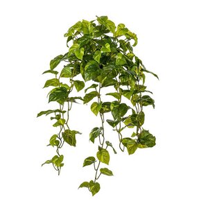 Mr Plant Gullranke kunstig plante 70 cm