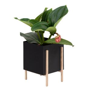 Design House Stockholm Greenery botanic potte