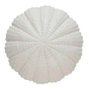 Lene Bjerre Shellille dekorasjon 8 cm hvit