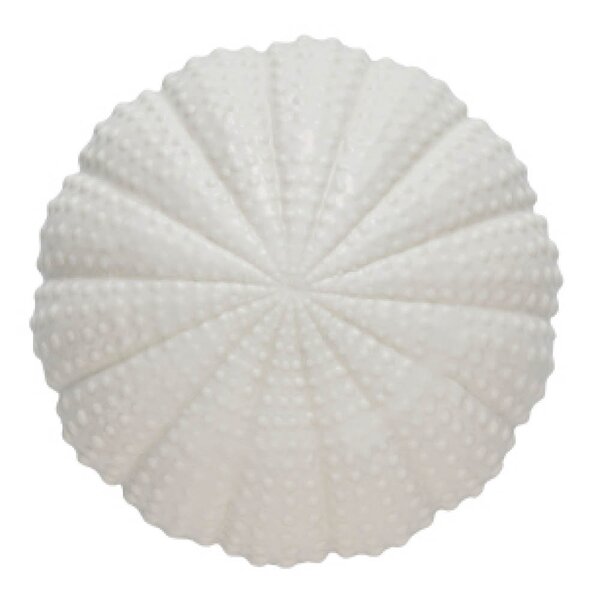 Lene Bjerre Shellille dekorasjon 8 cm hvit