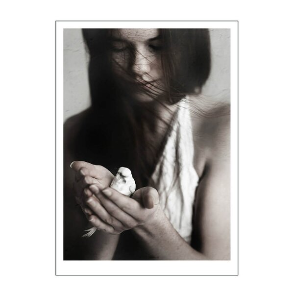 Poster & Frame – Ingrey Studio poster 30×40 cm girl & bird