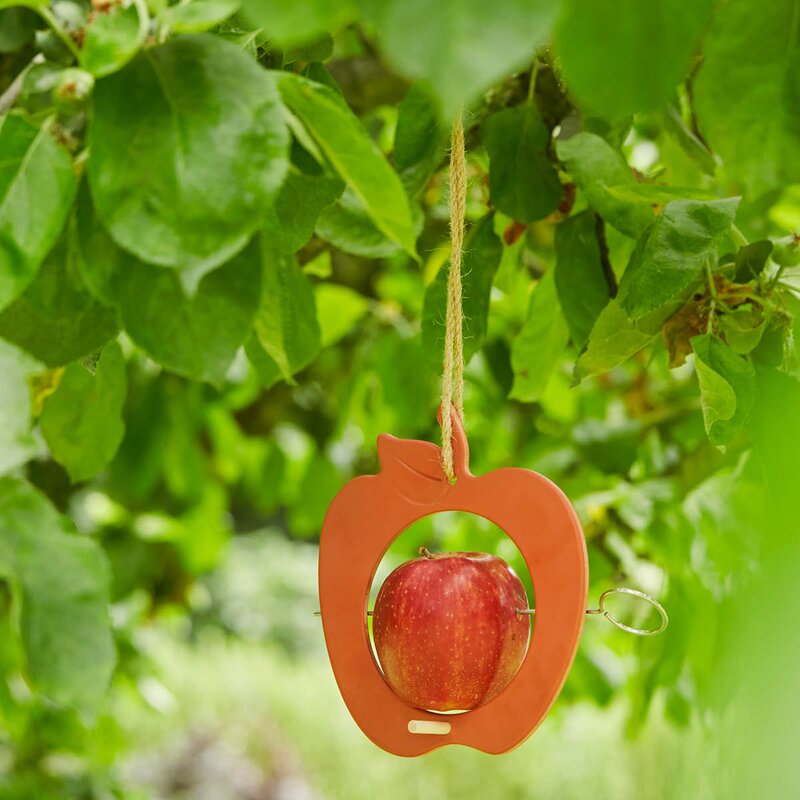Point Virgule Fuglemater 18 cm terrakotta