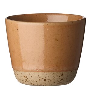 Aida RAW krus 20 cl orangeish