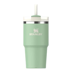 Stanley Quencher H2.0 FlowState Tumbler 0,6L pistachio