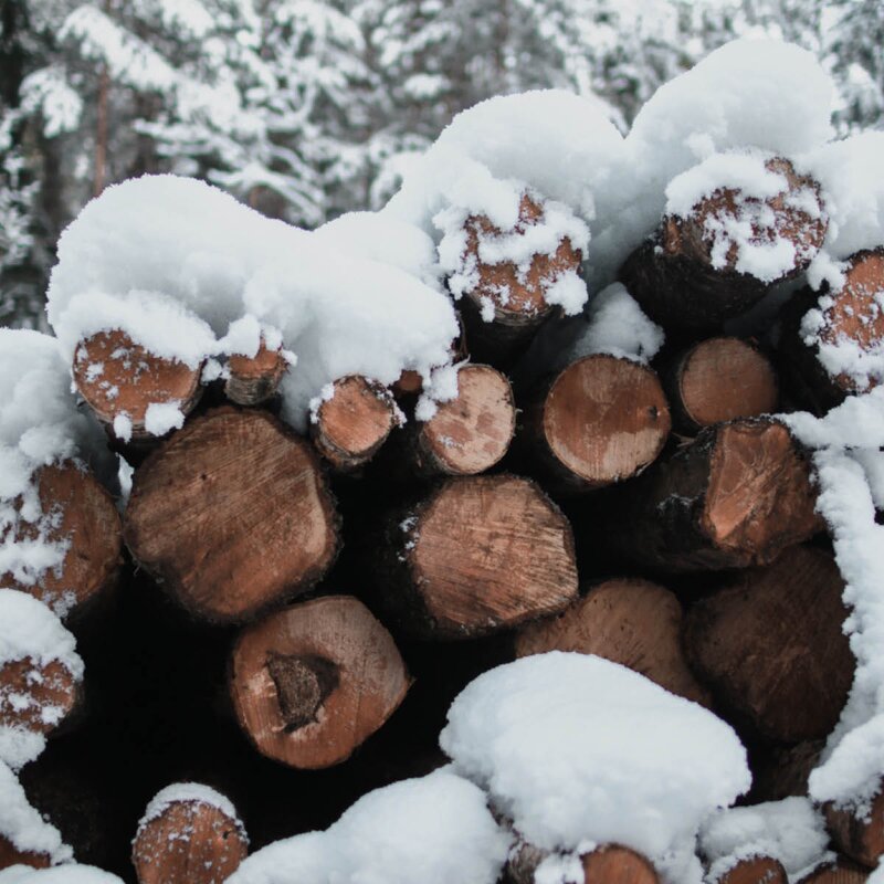 Wik & Walsøe Woodstokk tallerken 28 cm	