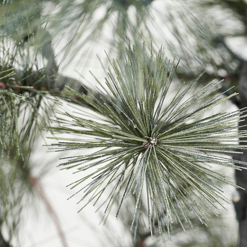 House Doctor Peuce juletre 125 cm natur