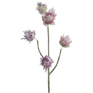 Mr Plant Silkeblomst eternell 55 cm