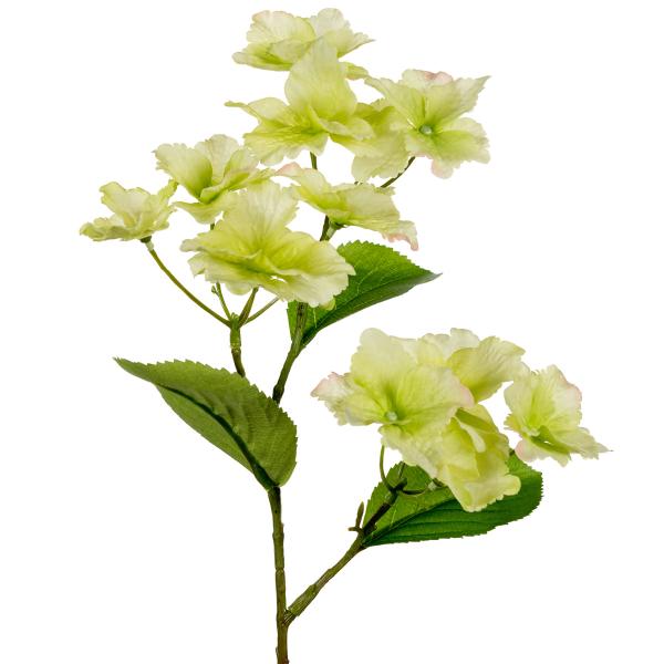 Mr Plant Hortensia 50 cm grønn