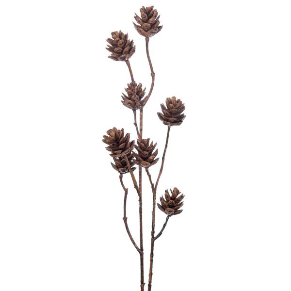 Mr Plant Silkeblomst kvist med kongler 70 cm brun