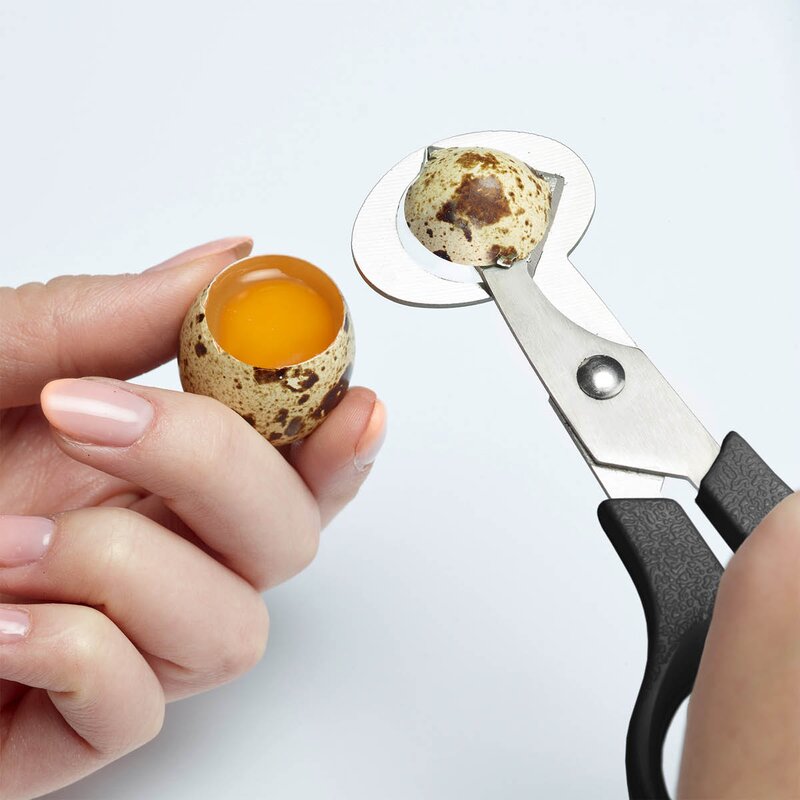 Westmark Vakteleggssaks