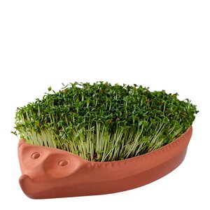 Römertopf Spirepotte i keramikk 25x16 cm