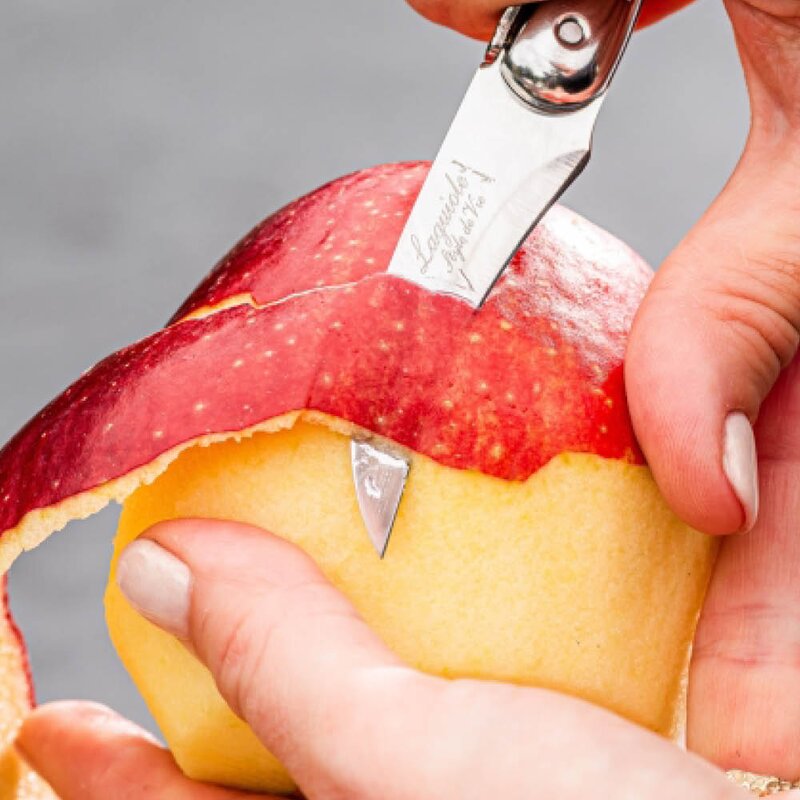 Laguiole Style de Vie Knivsett 3 deler svart