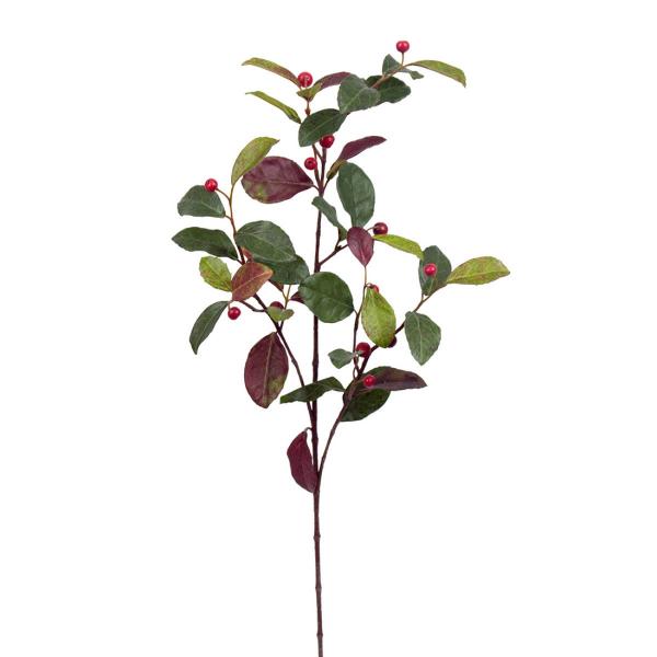 Mr Plant Vaktelbär 60 cm grønn