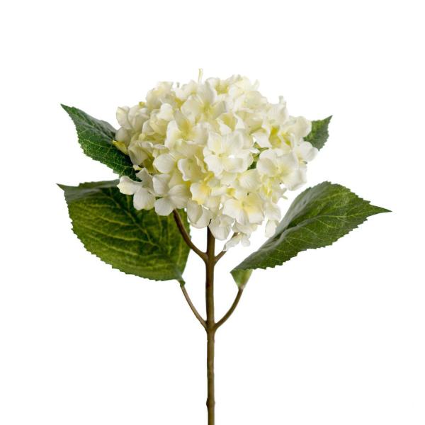 Mr Plant Silkeblomst hortensia 40 cm