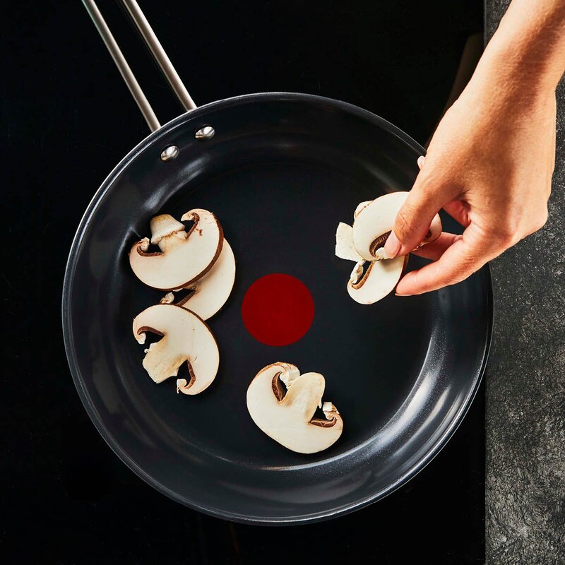 Tefal Nordica stekepanne 24 cm keramisk