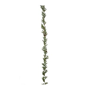 Mr Plant Grangirlander kunstig med kongler 180 cm grønn