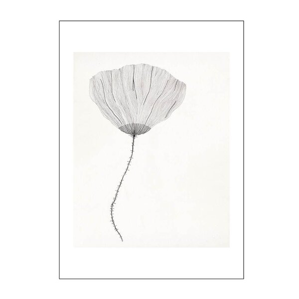 Poster & Frame – The Poster Club x Ana Frois poster 50×70 cm poppy