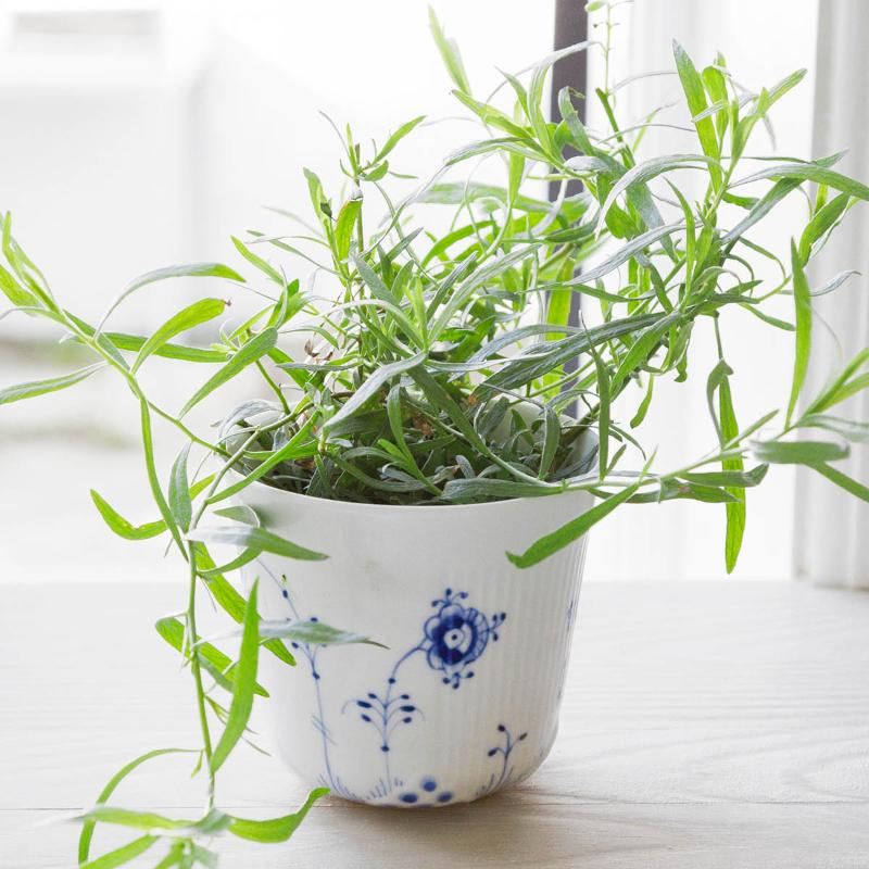 Royal Copenhagen Blå Elements termokrus 35 cl 2 stk