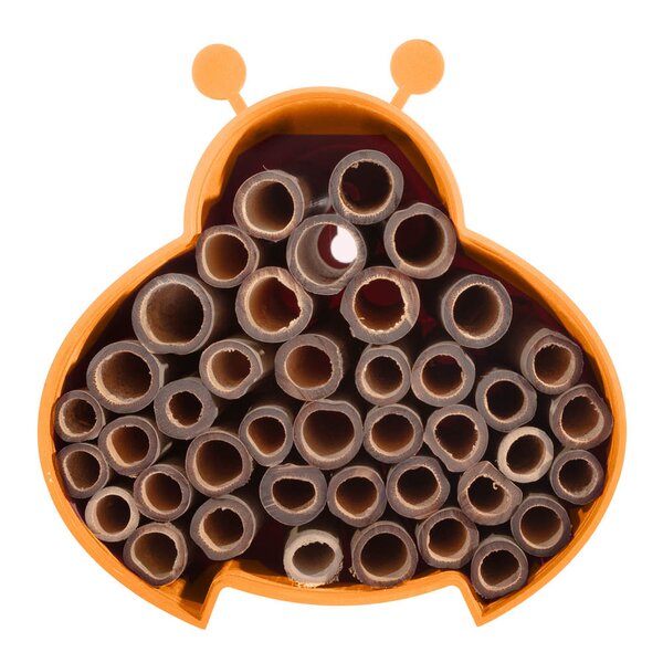 Point Virgule Bihotell 16 cm oransje