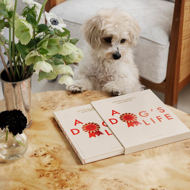 Printworks A Dog’s Life hundejournal