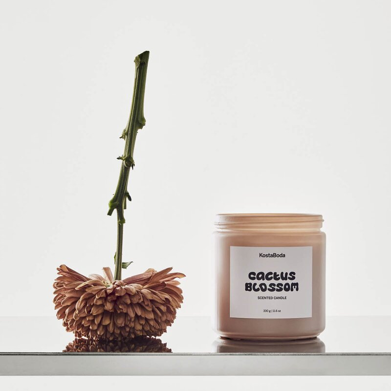 Kosta Boda Mind duftlys 10 cm Cactus Blossom