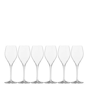 Modern House Sontell champagneglass universal 29 cl 6 stk klar
