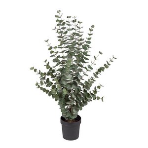 Mr Plant Eukalyptus kunstig plante 110 cm