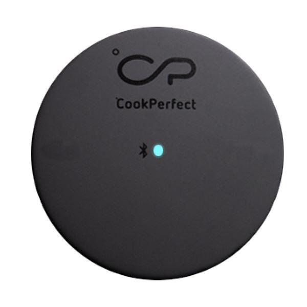 Witt CookPerfect comfort 2,0 termometer