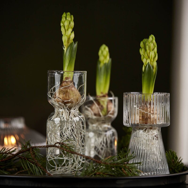 GUS Design Rette hyasintvase 15 cm klar