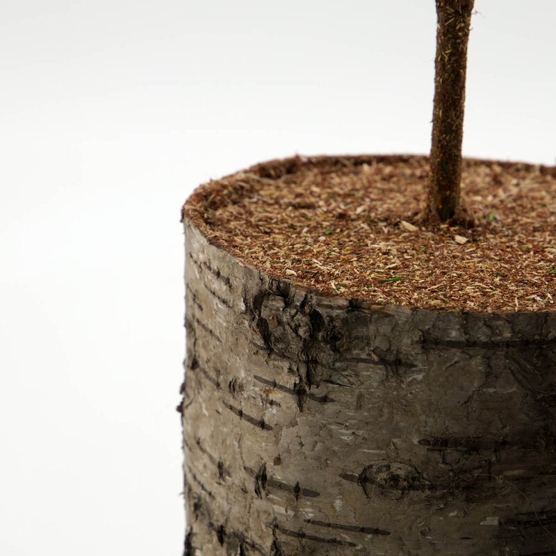 House Doctor Pine juletre 14 cm grønn