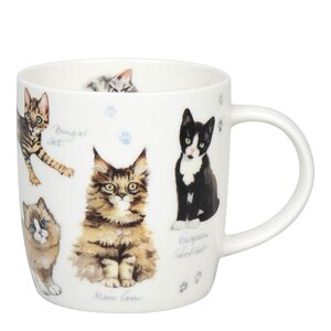 Könitz Krus 40 cl Cats