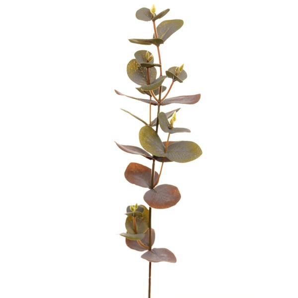 Mr Plant – Eucalyptus 40 cm grønn